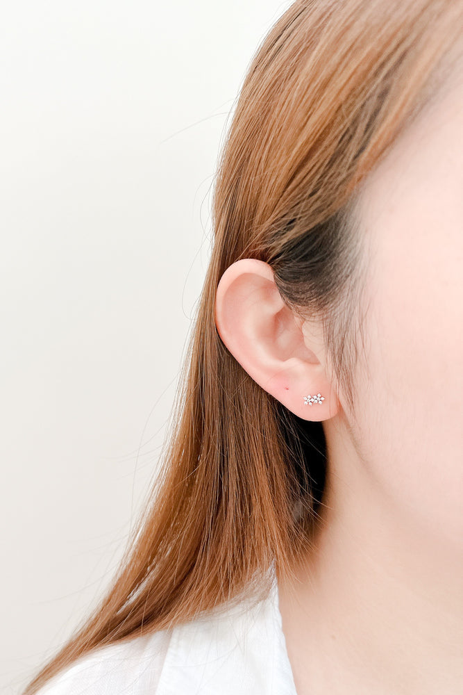 
                  
                    23602 Bakea Earrings
                  
                