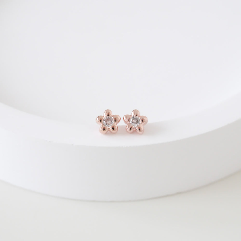 
                      
                        24531 Carmine Earrings
                      
                    