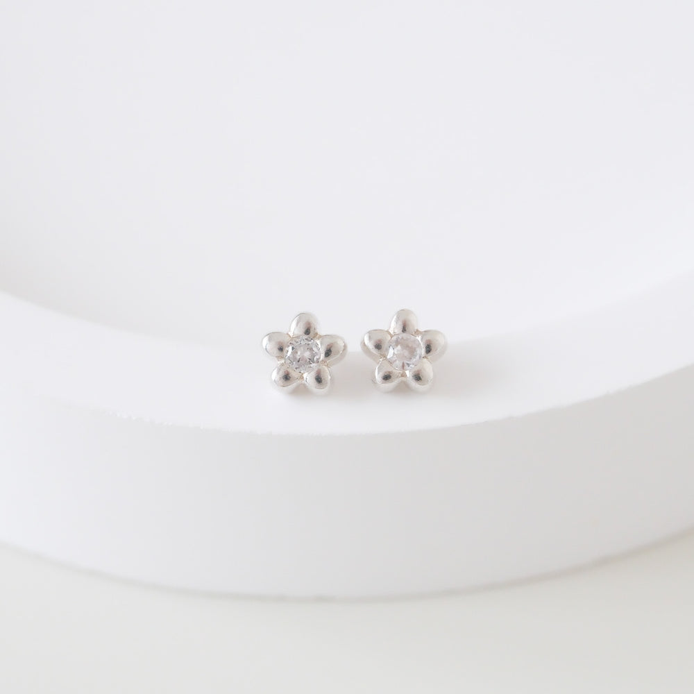 
                      
                        24531 Carmine Earrings
                      
                    