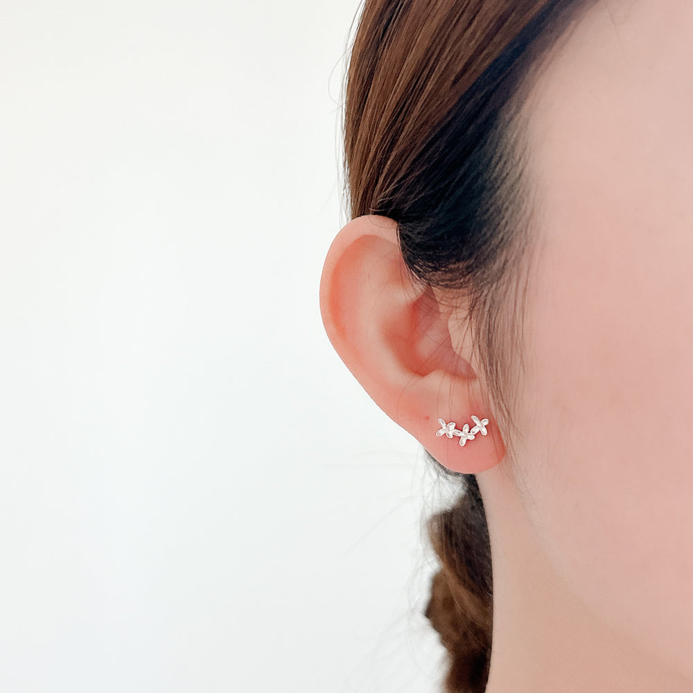 
                      
                        24569 Tosca Earrings
                      
                    