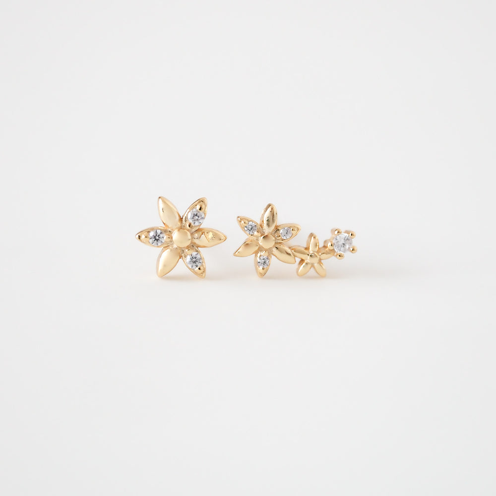 
                      
                        24583 Philippa Earrings
                      
                    