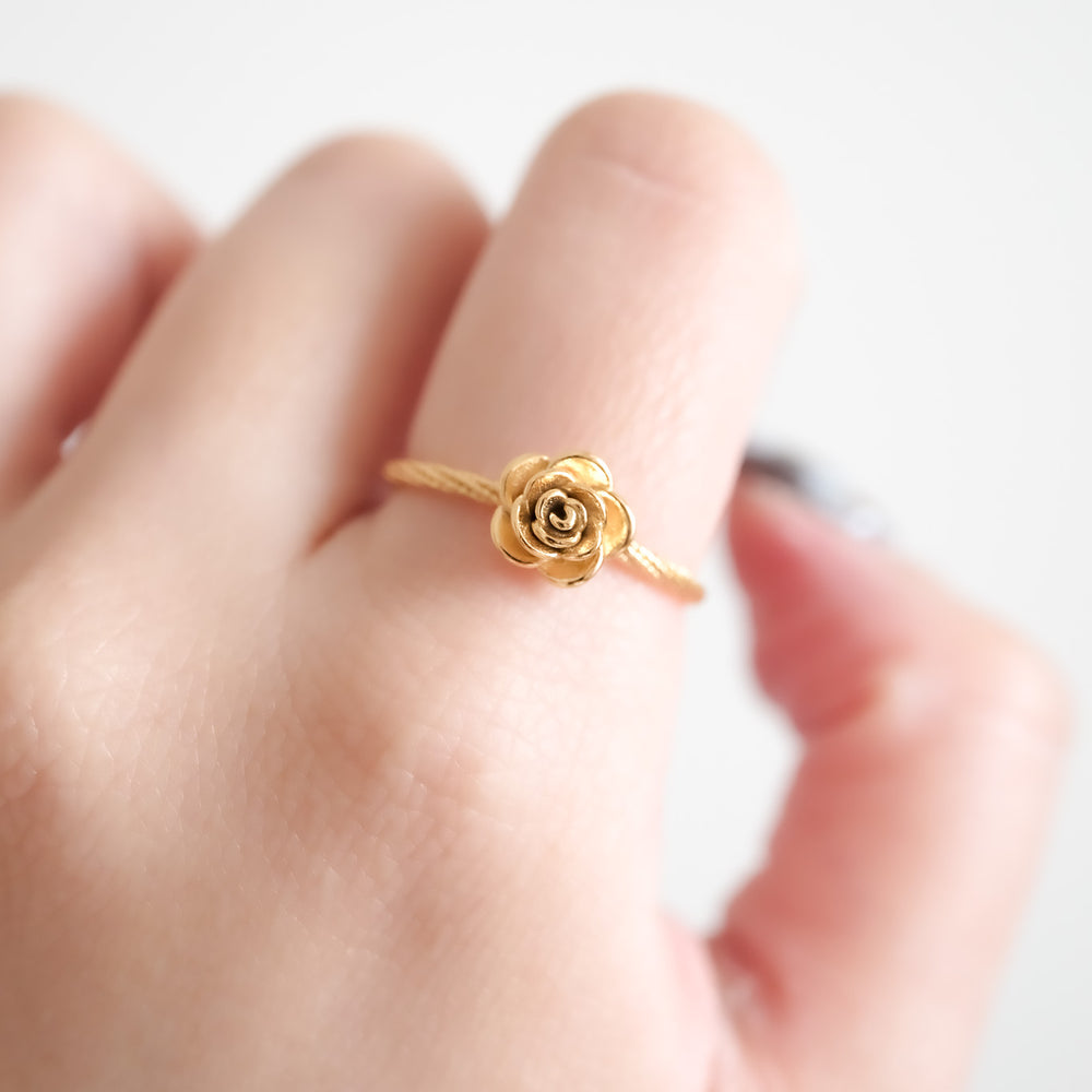 
                      
                        24682 Rosie Ring
                      
                    