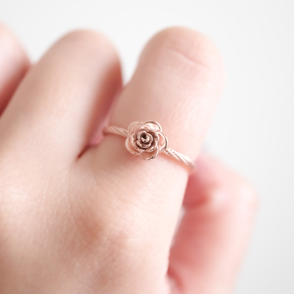 
                      
                        24682 Rosie Ring
                      
                    