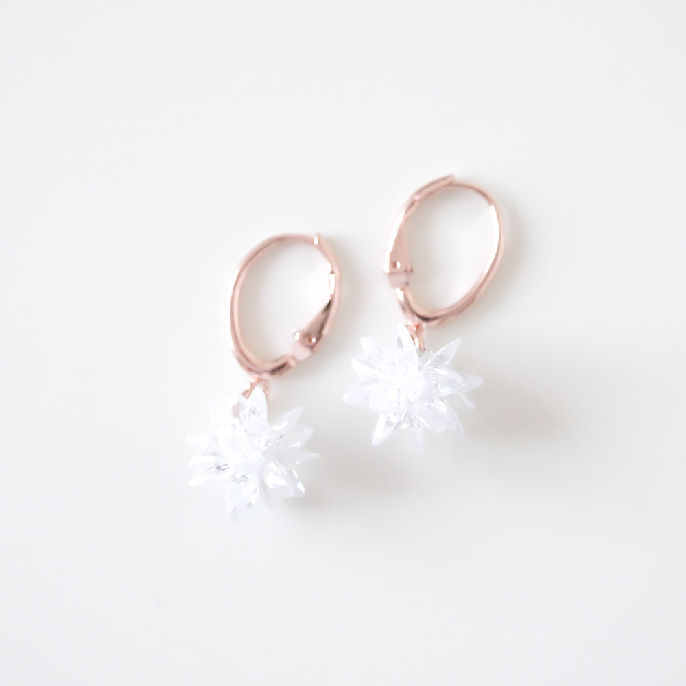 
                      
                        24708 Harper Earrings
                      
                    