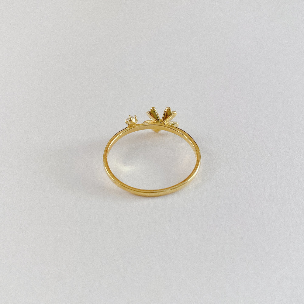 
                  
                    No. 21314 S925 Ring
                  
                