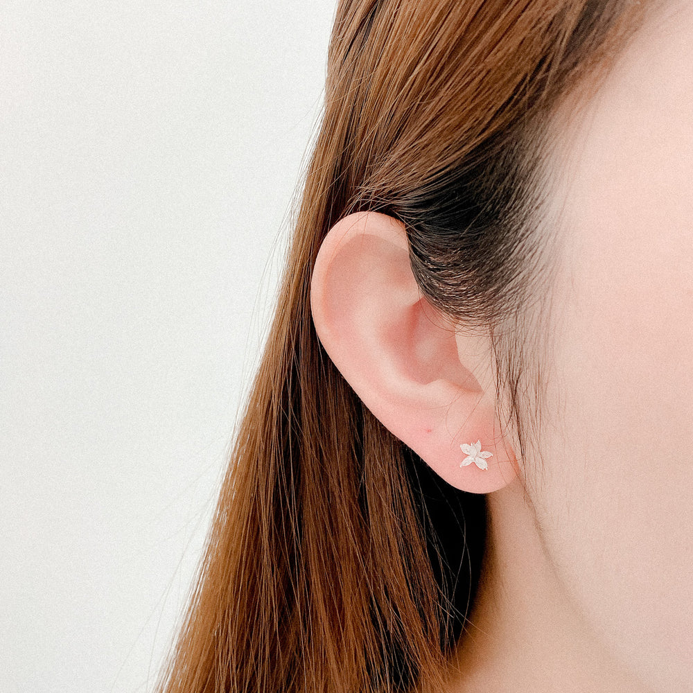 
                  
                    23092 Begonia Earrings
                  
                